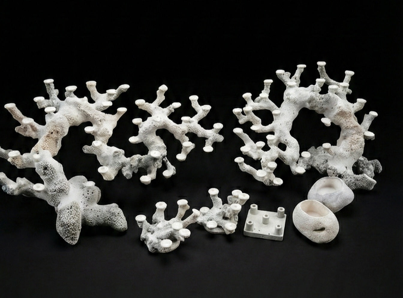 Bonsai Reefscape #47