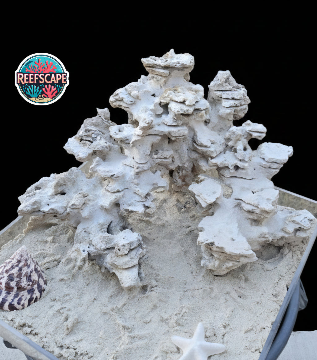 Natural Reef