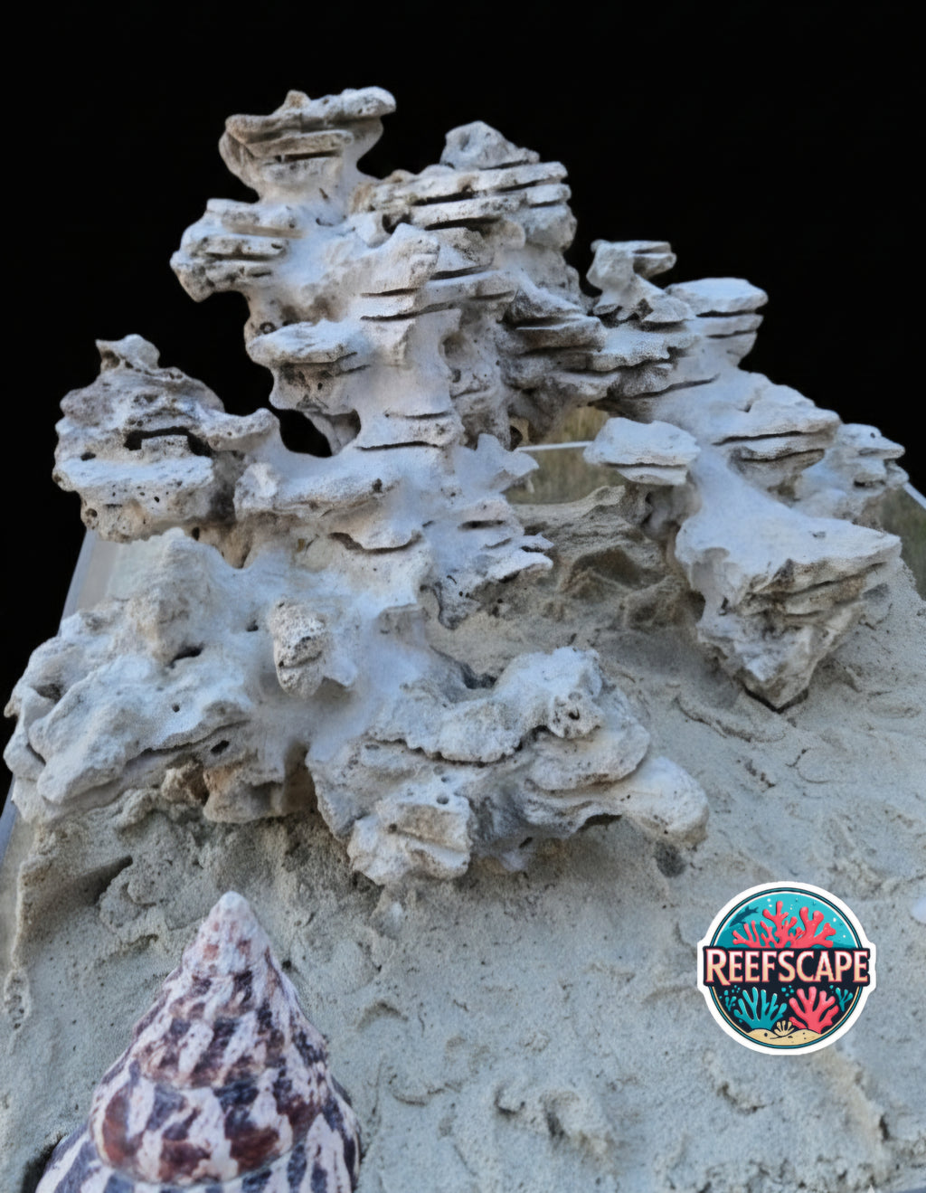 Natural Reef