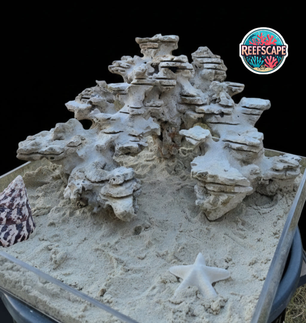 Natural Reef