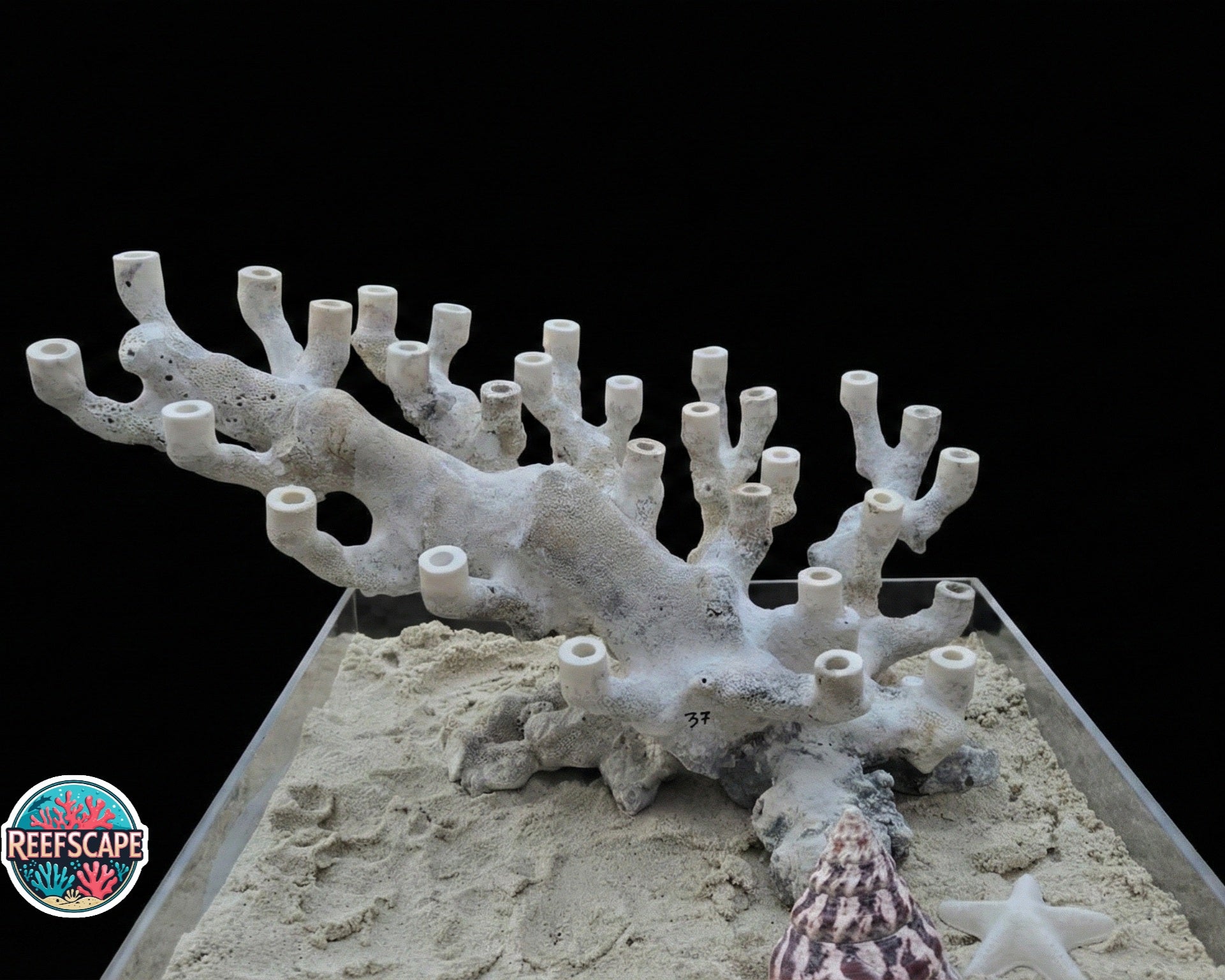 Branching Reefscape #37