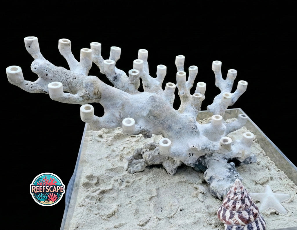 Branching Reefscape #37