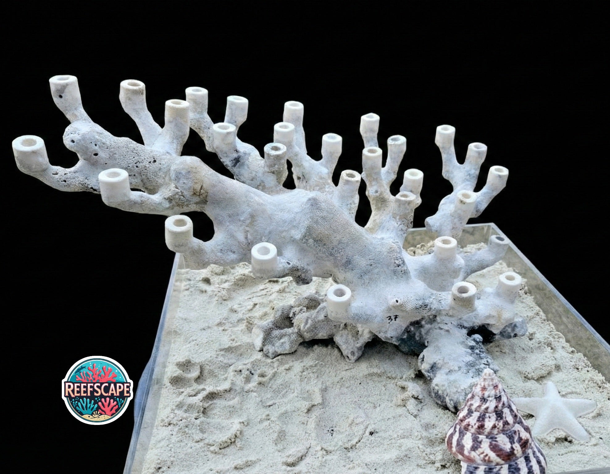 Branching Reefscape #37