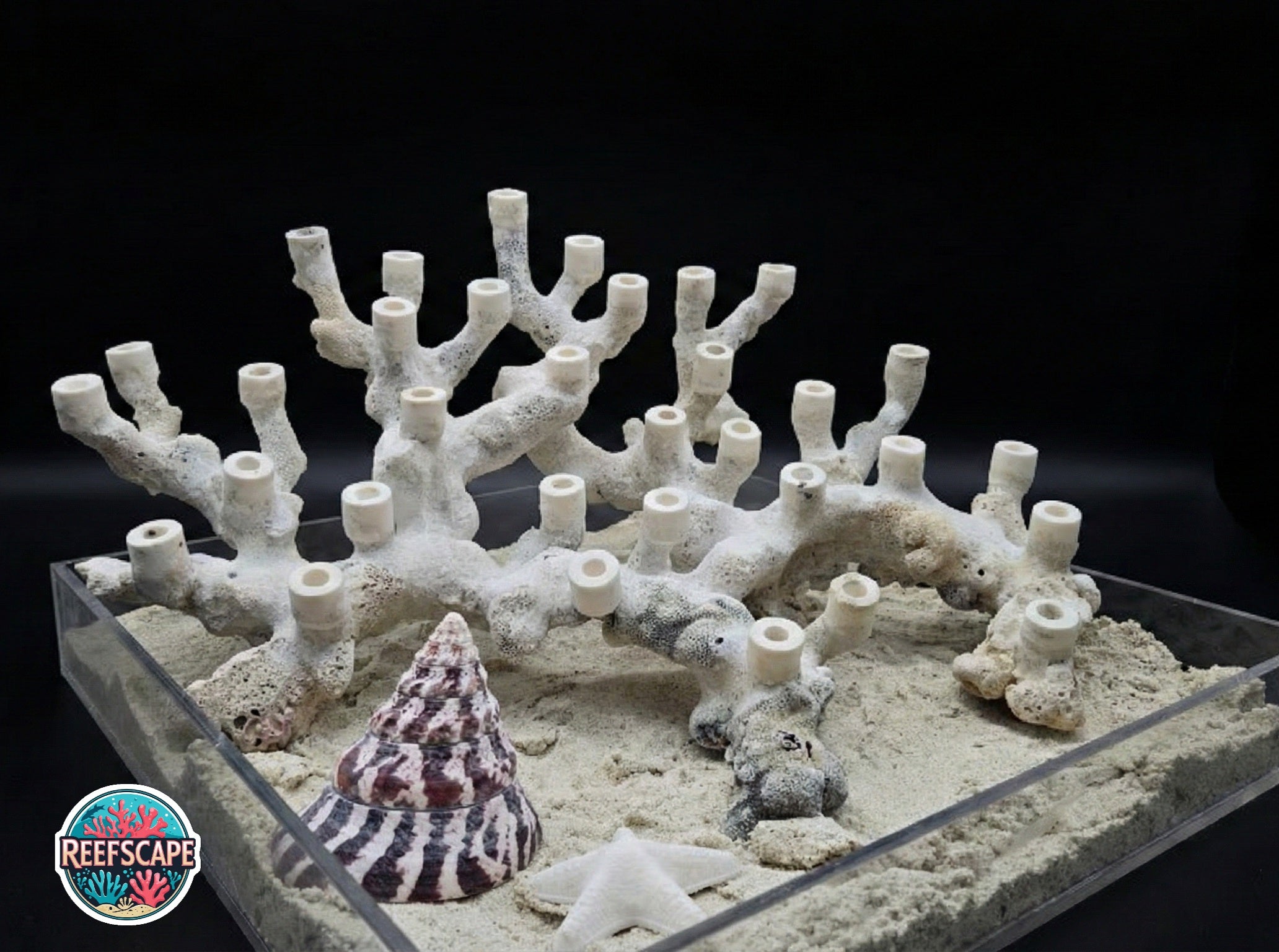 Branching Reefscape #31