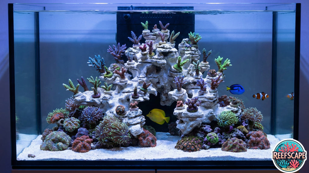 Natural Reef Rocks Natural Reef – Aquascape