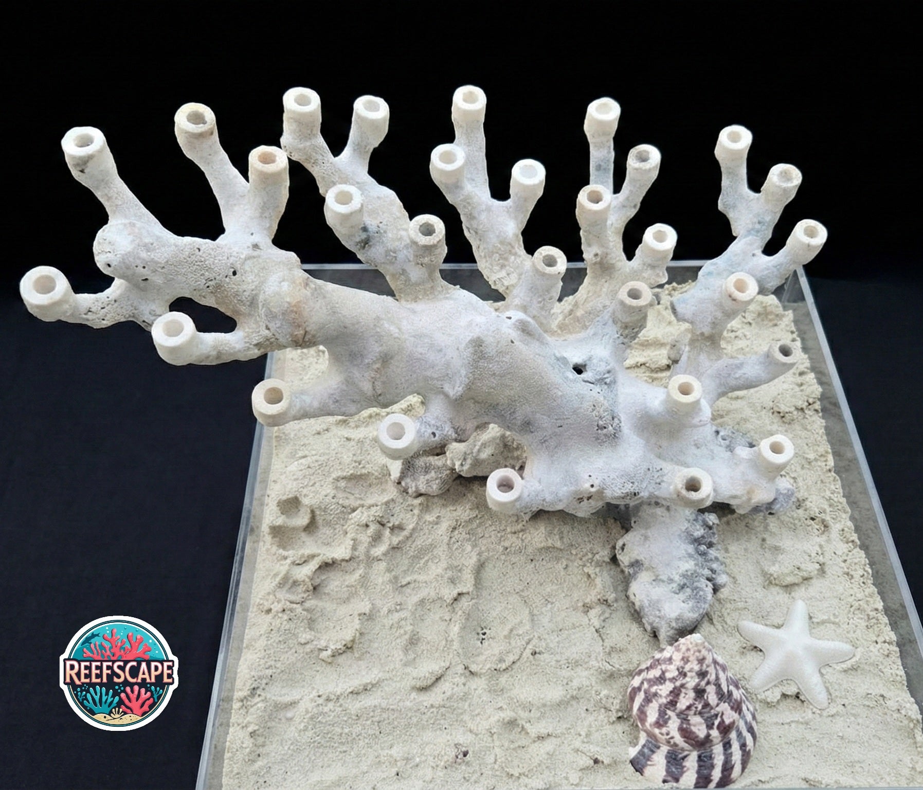 Branching Reefscape #37