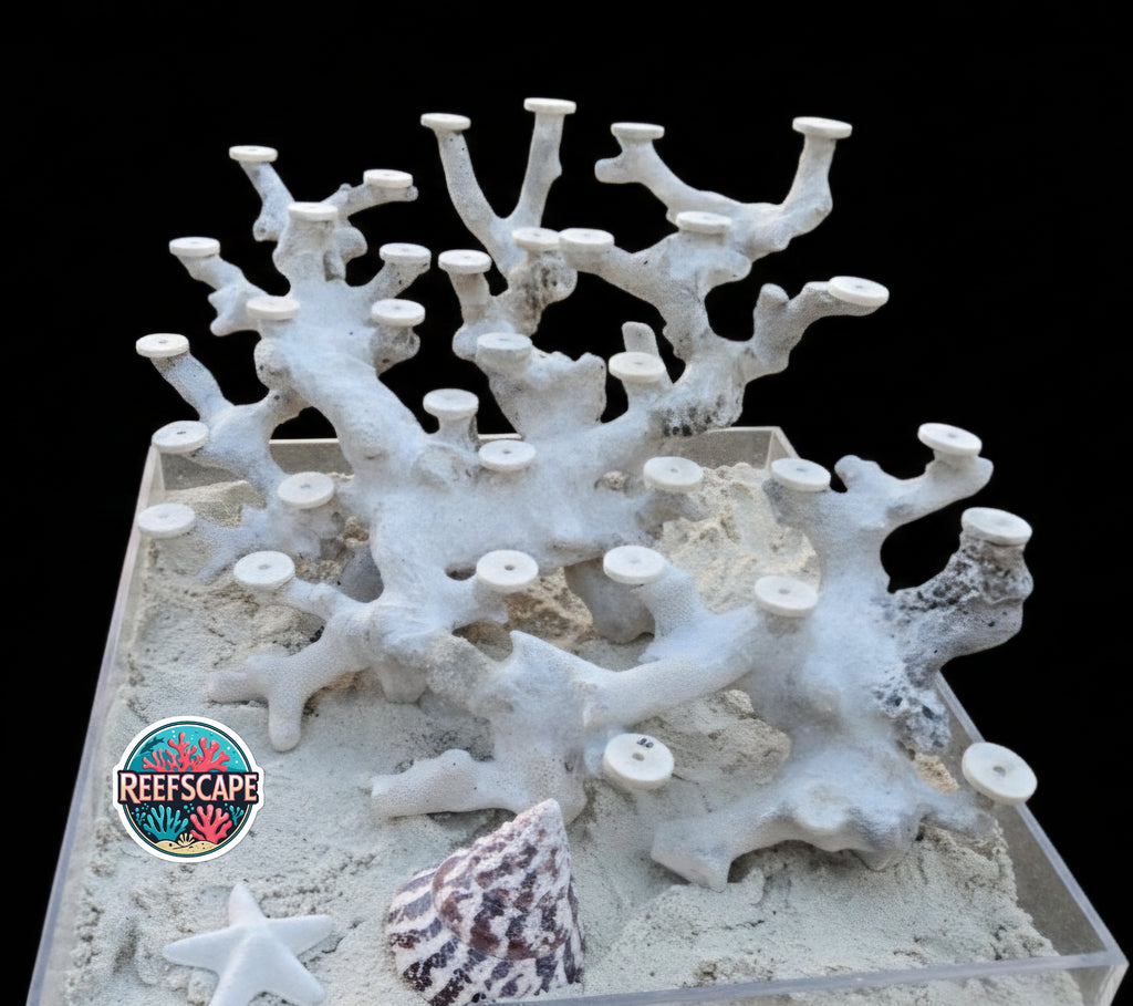 Branching Reefscape #26