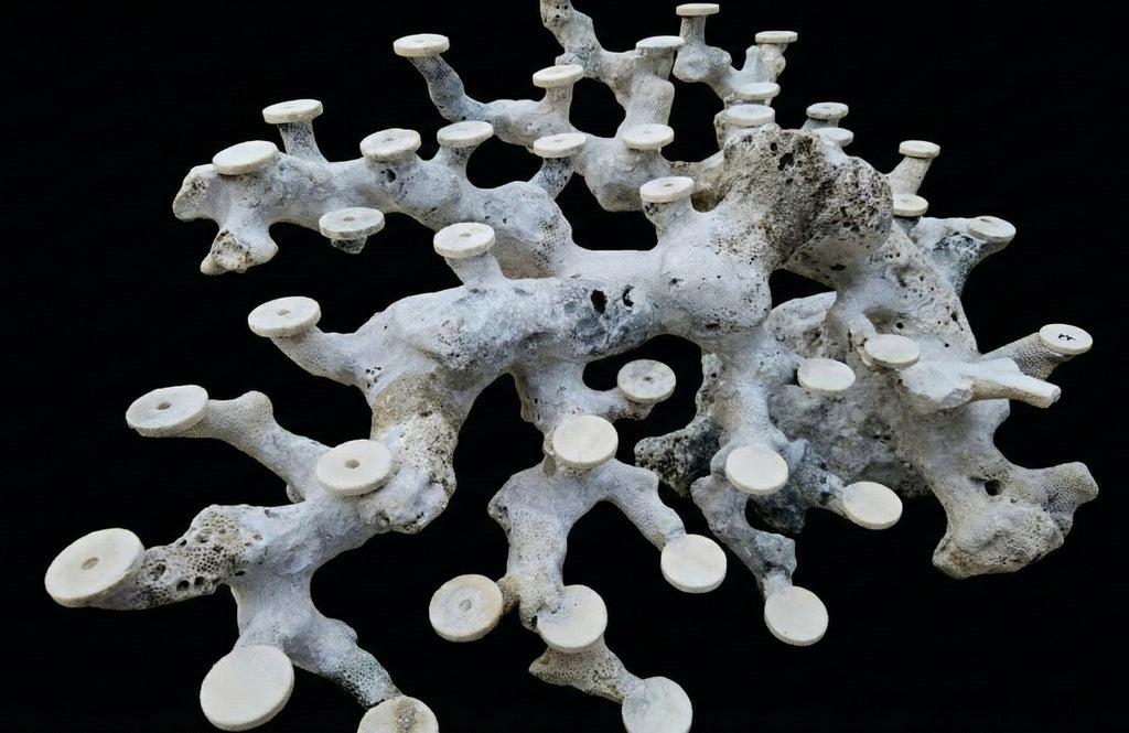 Bonsai Reefscape #7
