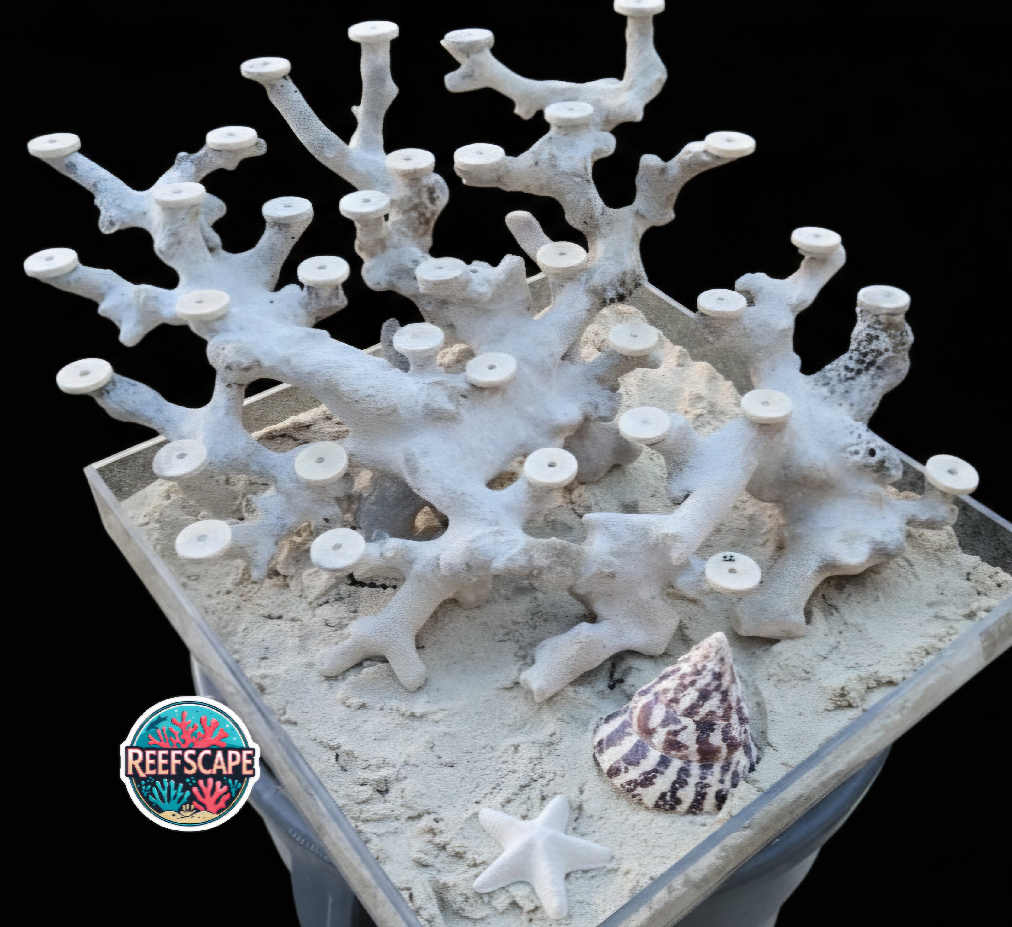 Branching Reefscape #26