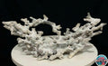 Branching Reefscape #45