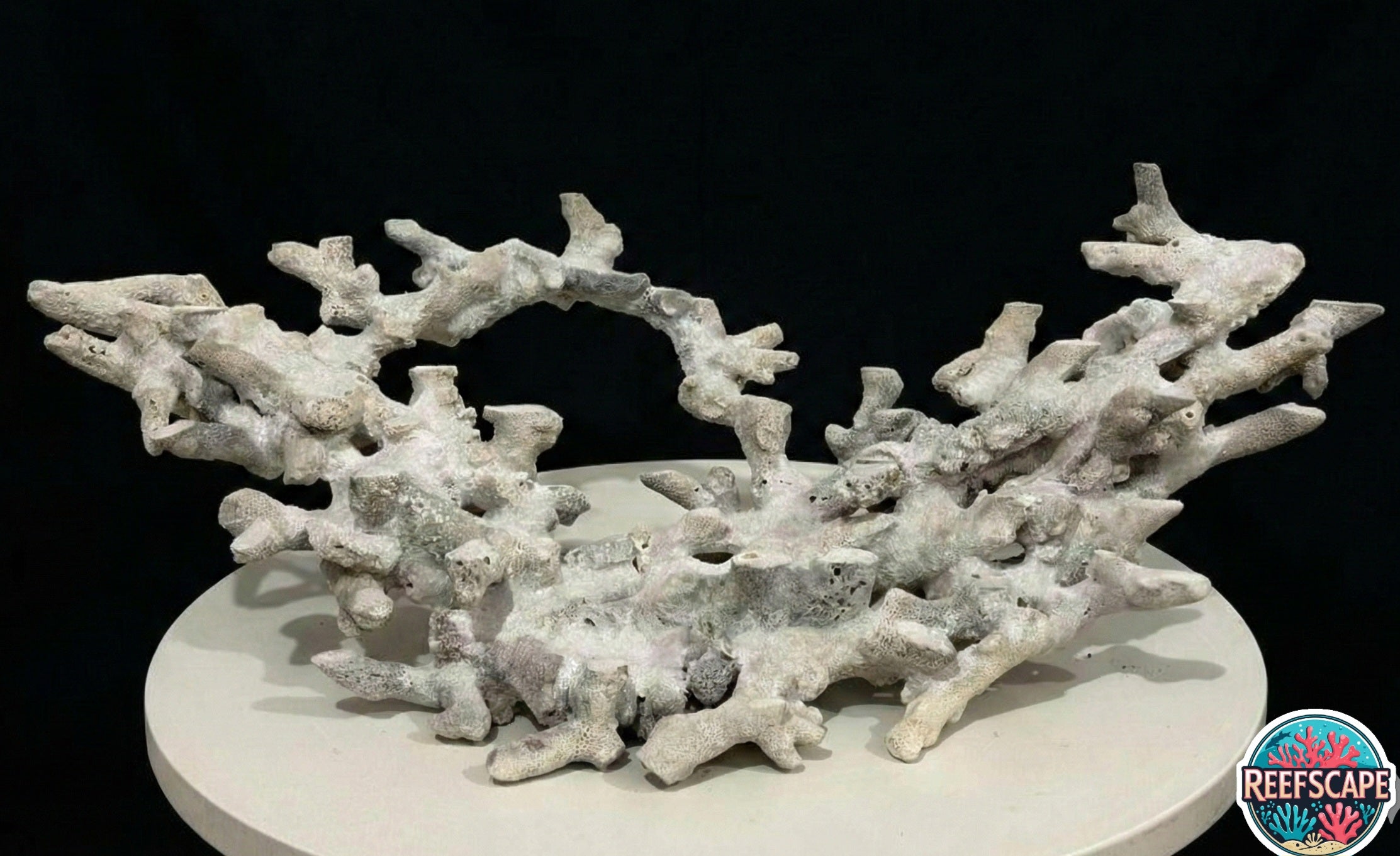 Branching Reefscape #45