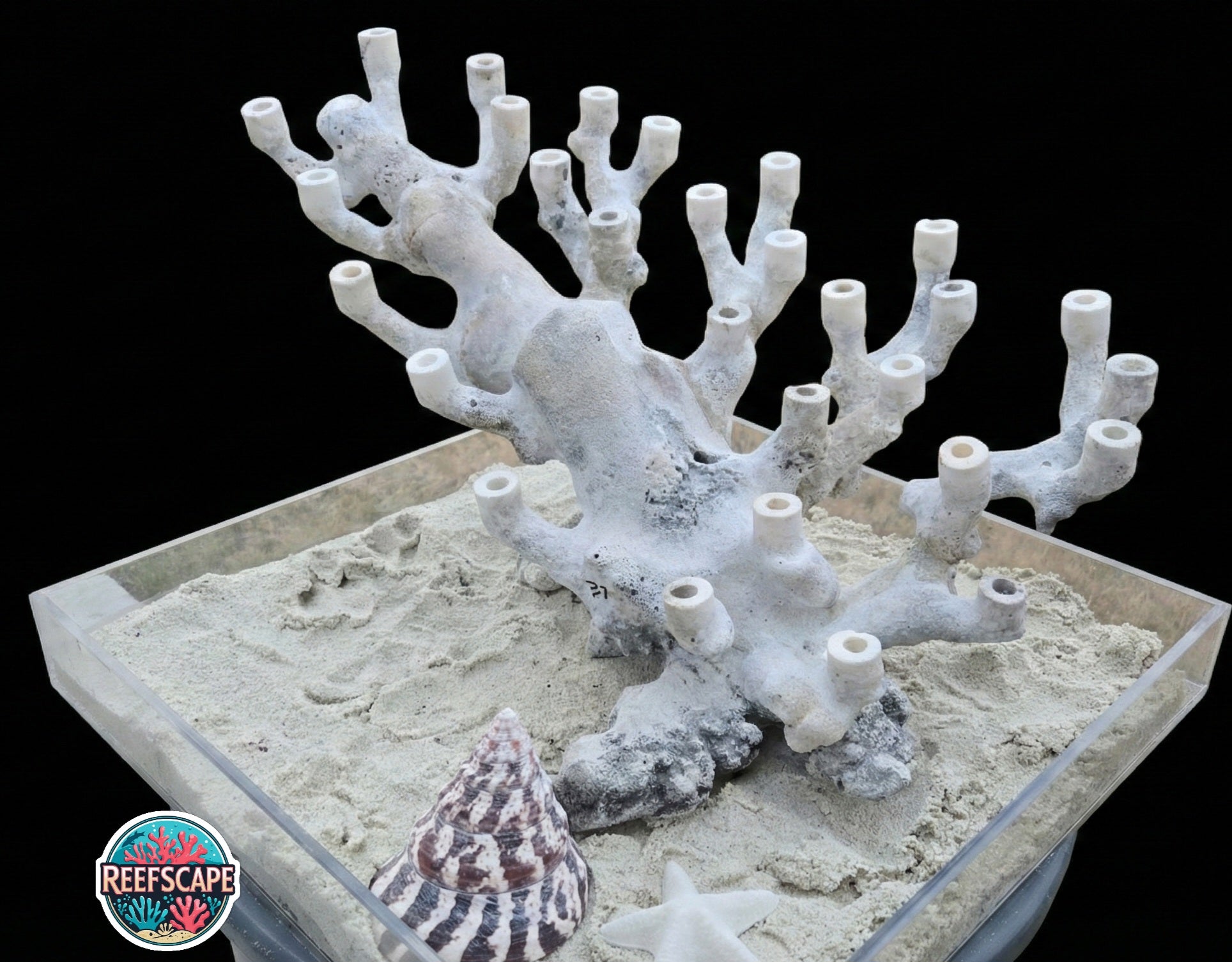 Branching Reefscape #37