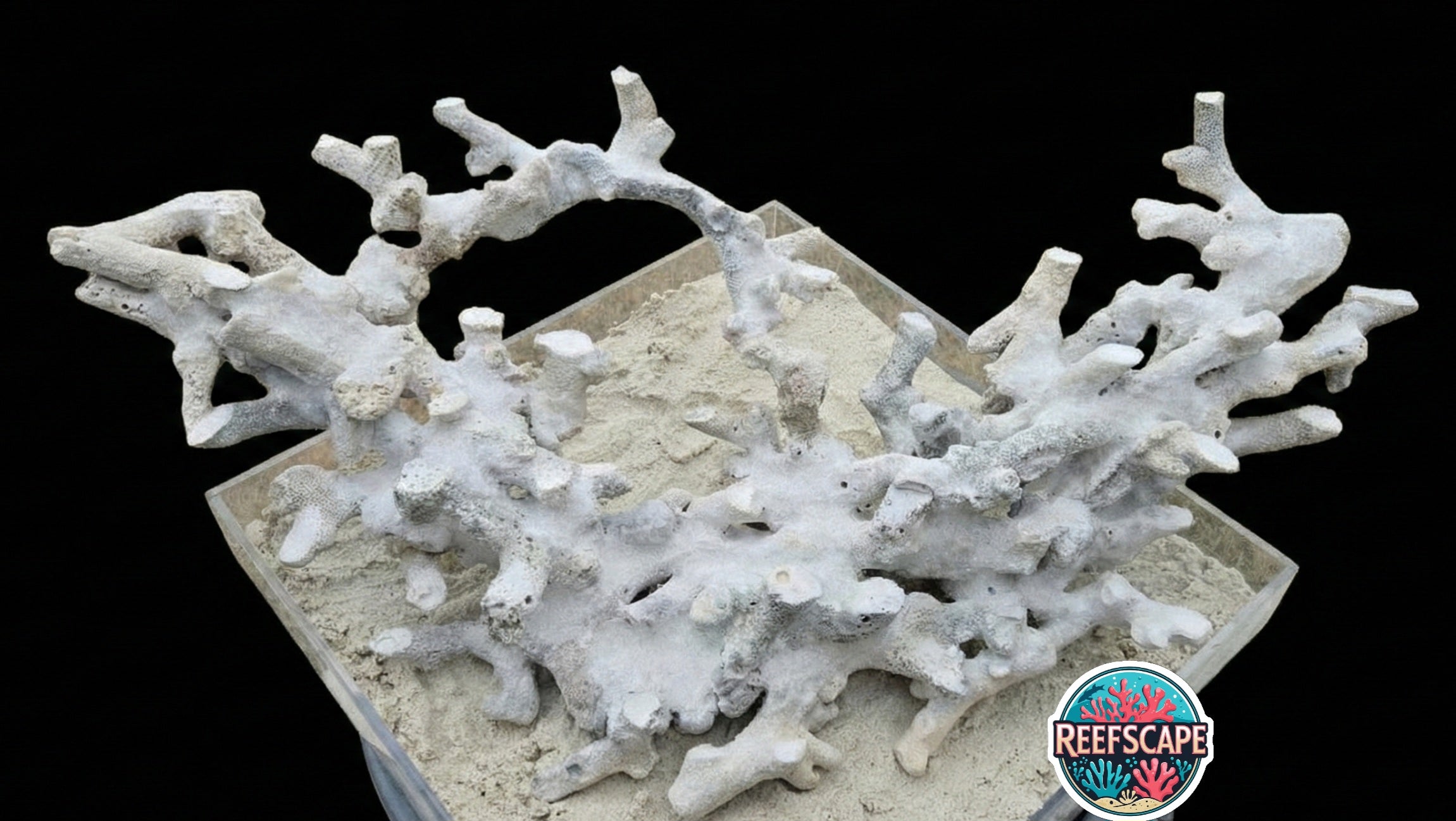 Branching Reefscape #45