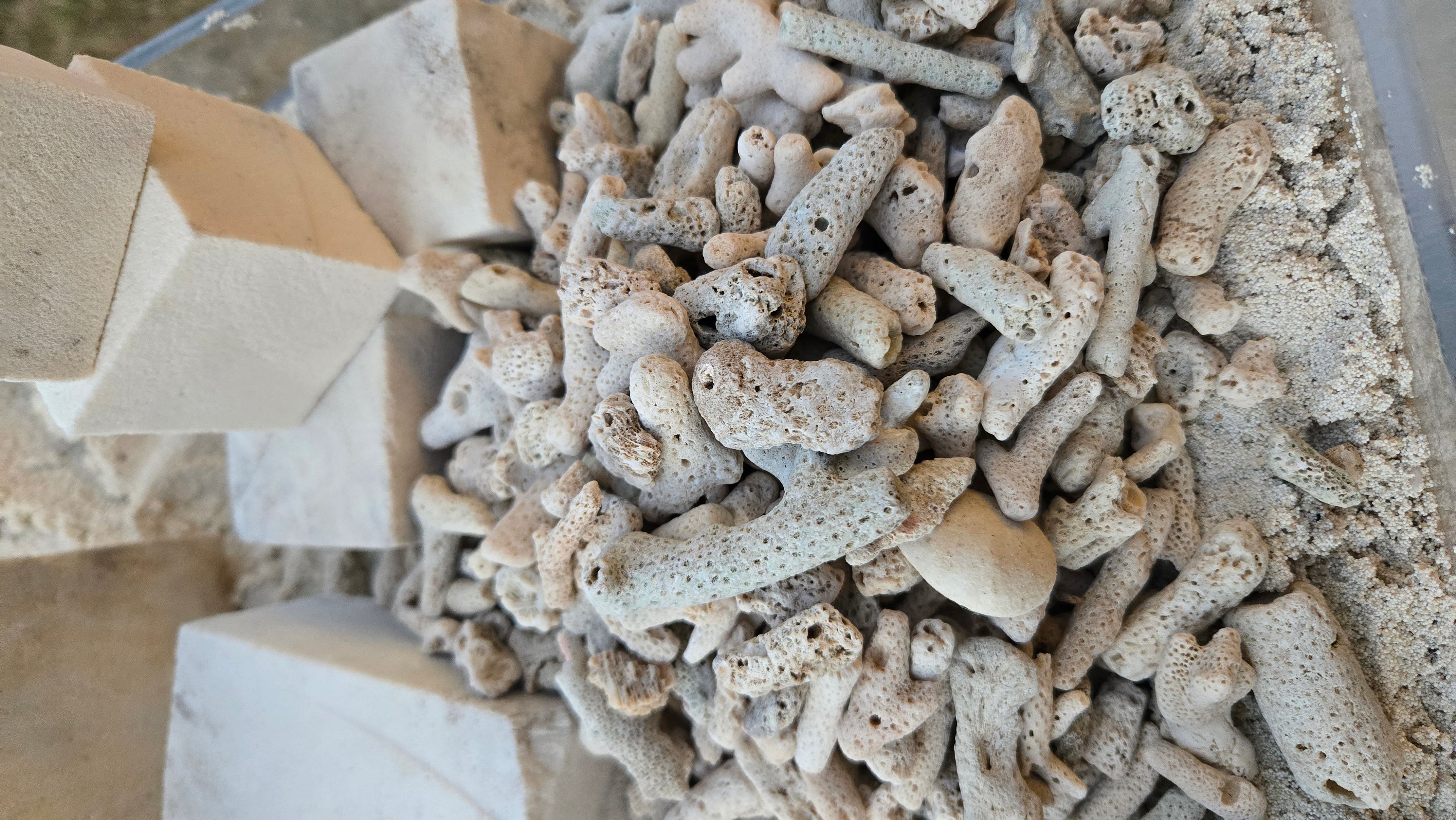 Natural coral rock