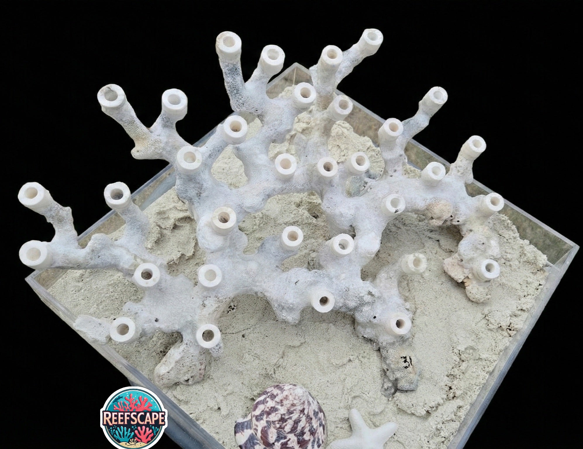 Branching Reefscape #31